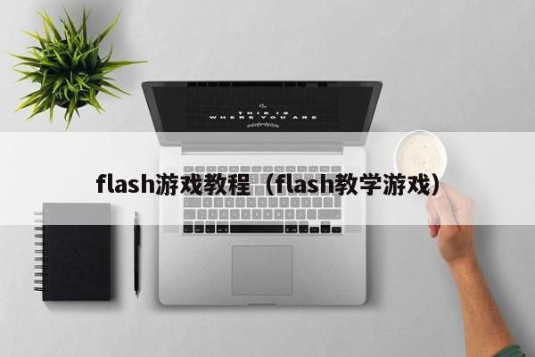 flash游戏教程（flash教学游戏）